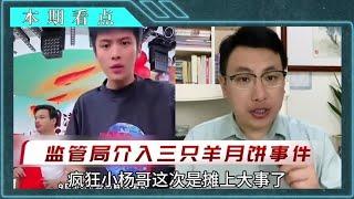 小杨哥摊上事，香港月饼内地产，监管局已介入，这下赔大了