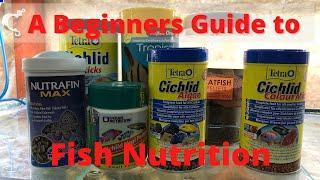 Beginners Guide to Fish Nutrition