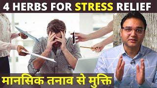 7 दिन में Stress, Anxiety और Depression दूर करें इन 4 नेचुरल जड़ी बूटियों से | Stress Relieving Herbs