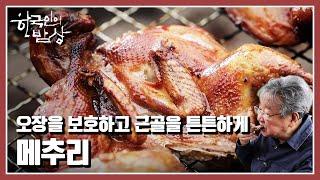 [한국인의 밥상] 작은 몸속에 한가득 선비 정신을 품은 메추리 “알찬 결실, 가을은 맛있다!” (KBS 20120923 방송)