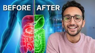 The Science of Gut Health (& Why It Matters)