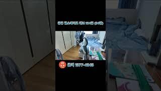 해운대 중동 힐스테이트위브 33평 임장 ㄱㄱㄱ #중동힐스 #중동힐스테이트위브 #집콕tv