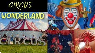 Circus Wonderland UK 2024 | Circus Wonderland 2024 | Circus UK | Circus show | #namrataallinone