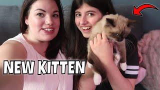 BRINGING HOME OUR RAGDOLL KITTEN  | ragdoll kitten first ...