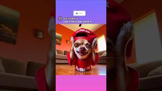 Chihuahua Stays With Uncle Bob...!  OG: @SimplyDLX #memes