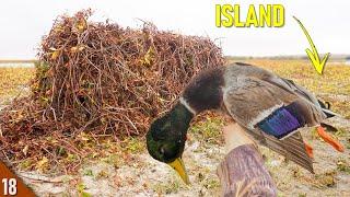 THIS WORKED?! Hunting a SAND ISLAND for Ducks (Limited Out) | Duck Hunting in a NEW Spot