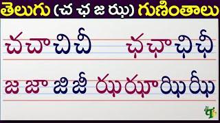 చ ఛ జ ఝ గుణింతాలు | cha ccha ja jha guninthalu | How to write Telugu guninthalu @TeluguVanam ​