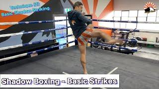 Muaythai Home Workout Series: Basic Strikes