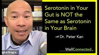 Why Serotonin in your Gut Doesn't Effect Your Brain with Dr.  Peter Kan