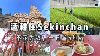 马来西亚【适耕庄】有什么好玩？不花大钱，一日游5地方。What's fun to do in Malaysia's "Sekinchan"?