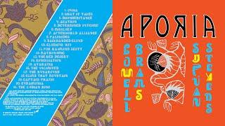 Sufjan Stevens, Lowell Brams - Aporia [Official Full Album Stream]