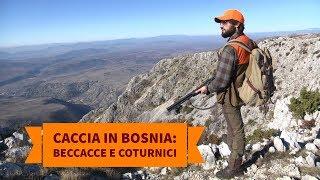 Caccia in Bosnia Herzegovina: beccacce e coturnici