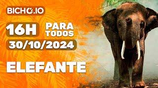 Resultado ao vivo PARATODOS # 16H - PT - 30/10/2024