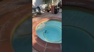 Pt. 3 Pool Service Estimates