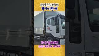 주행거리 14만 km 2019년식 윙바디 거래 매매 정보 윙바디추천