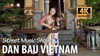 Dan Bau - Vietnamese Musical Instruments and Traditional 2