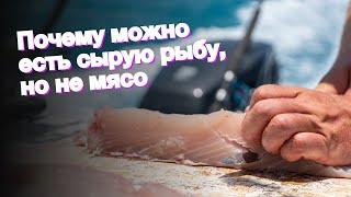 Почему можно есть сырую рыбу, но не мясо