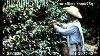 VINTAGE COMMERCIAL - JUAN VALDEZ COFFEE - 1970s