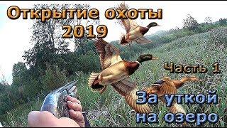 Открытие осенней охоты 2019 . Часть 1. За уткой на озеро.