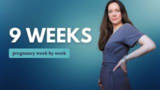 9 Weeks Pregnant  What to Expect: Changes for You & Baby Development