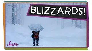 What is a Blizzard? | Winter Science | Weather Science | SciShow Kids