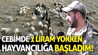 Cebimde 1 Liram Yokken Hayvancılığa Başladım!