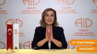 Alerji Nedir?