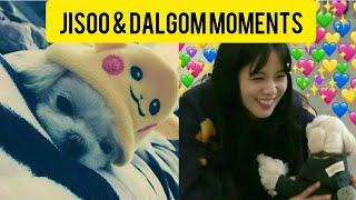 #BLACKPINK JISOO & DALGOM Funny Moments  #18