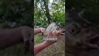 ГЛАВНОЕ ПРАВИЛО НА РЫБАЛКЕ