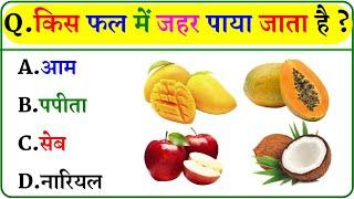 GK Question || GK In Hindi || GK Question and Answer || GK Quiz ||