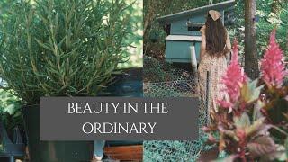 The Beauty of Capturing Everyday Moments | Mindful Living