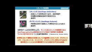 「天然物から見つかった種々の病原ウイルスに対する不活化物質」帯広畜産大学　グローバルアグロメディシン研究センター　助教　武田 洋平