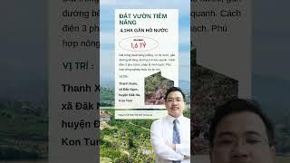 "Bán đất 4,1ha tiềm năng tại Thanh Xuân, Đắk Ngọc, Đắk Hà – giá chỉ 1,6 tỷ! - BDS Thế Giới Tương Lai