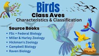 Class Aves | Characteristics, Phylogeny, Classification & Diversity of Birds | All About Birds