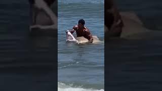 RAW VIDEO:  Swimmer captures shark off Delaware coast