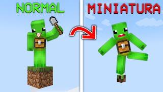 Minecraft Dar Este un BLOC in MINIATURA !