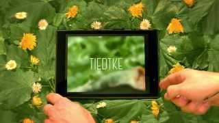 TIEDTKE — Stopmotion Intro (Blackmagic Pocket Cinema Camera)