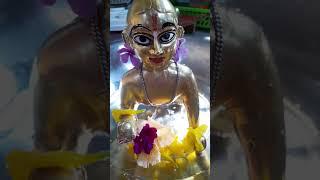 Gopu sonar snan #ytshort #radhetadhe #hare krishna