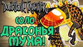 СОЛО Драконья муха в Don't Starve Together!