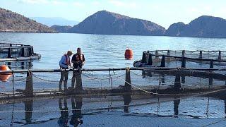 Changing locations and nets: How fish farmers in the Mediterranean adapt to climate change