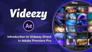 Introduction to Videezy Direct