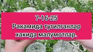 7-16-25 ракамда тугилганлар хакида малумот.