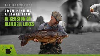 In Session at Bluebell Lakes | Adam Penning and Lewis Read | Day Ticket Carp Fishing