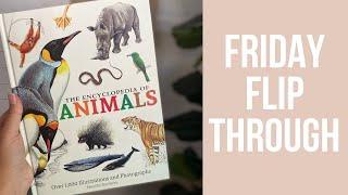 The Encyclopedia of Animals | book flip through