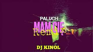 Paluch - Mam Cię ( DJ KINOL REMIX )