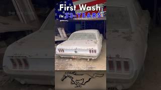 33 Years Forgotten: 1967 Ford Mustang Barn Find & Epic Restoration!