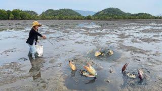 Lucky Day - I Found Many Huge Mud Crabs In Muddy after Water Low