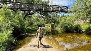 Exploring at Paynes Creek Historic State Park