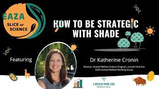 Slice of Science - Episode 1 - How to be Strategic with Shade by Katherine Cronin