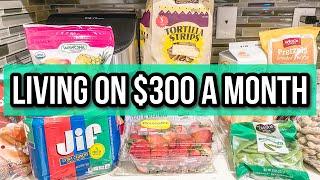 MONTHLY GROCERY SHOPPING FOR A FAMILY OF 4 | Budget Grocery Haul 2025